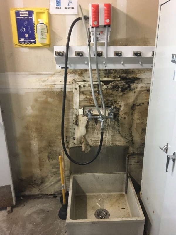 Mold behind sink